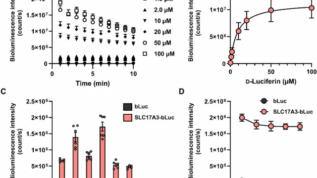 TargetMol染料——D-Luciferin potassium（Cat. No. T4139, CAS. 115144-35-9），照亮活体内部的灯泡
