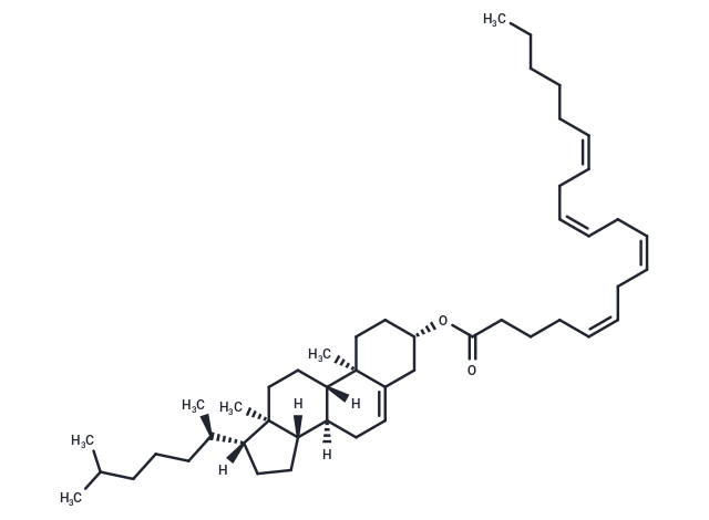 Cholesteryl arachidonate