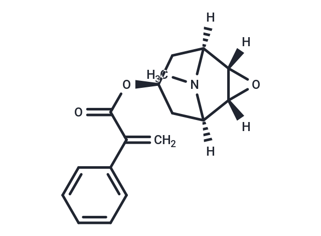 Apohyoscine