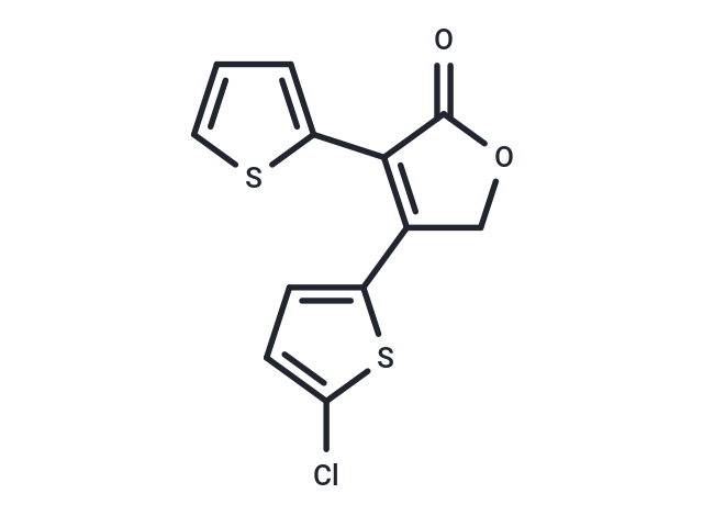 YC-001