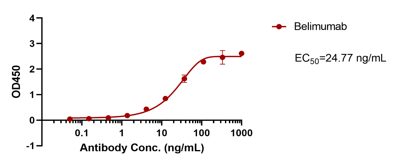 verifiedActivity