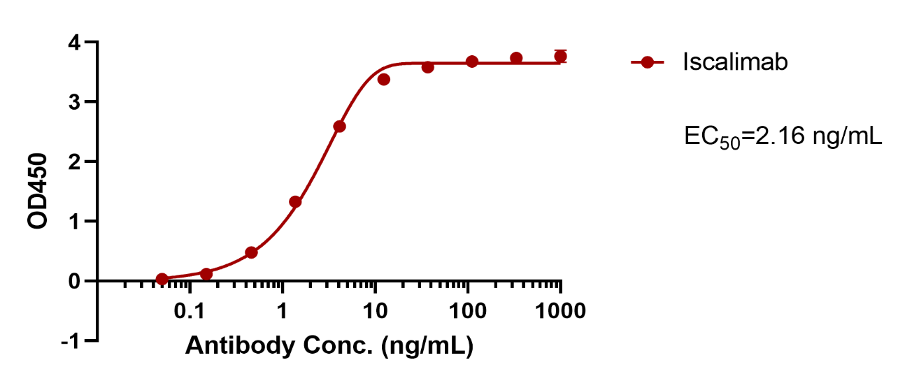 verifiedActivity