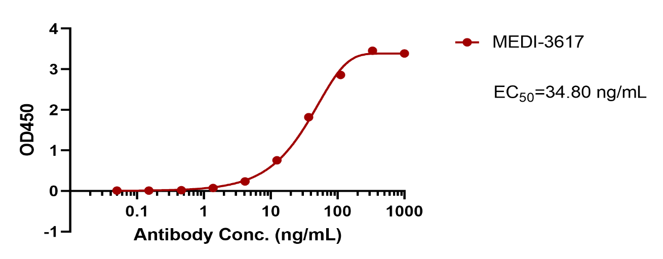verifiedActivity