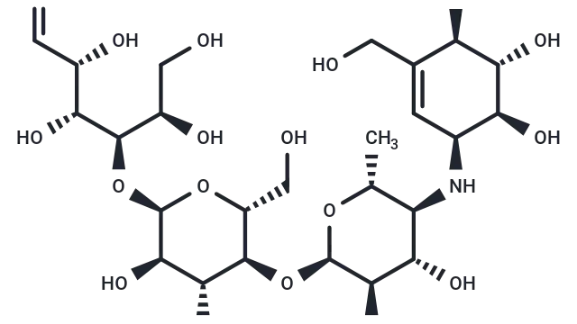 【TargetMol 明星分子】- Acarbose: 调控血糖与代谢通路的关键酶抑制剂