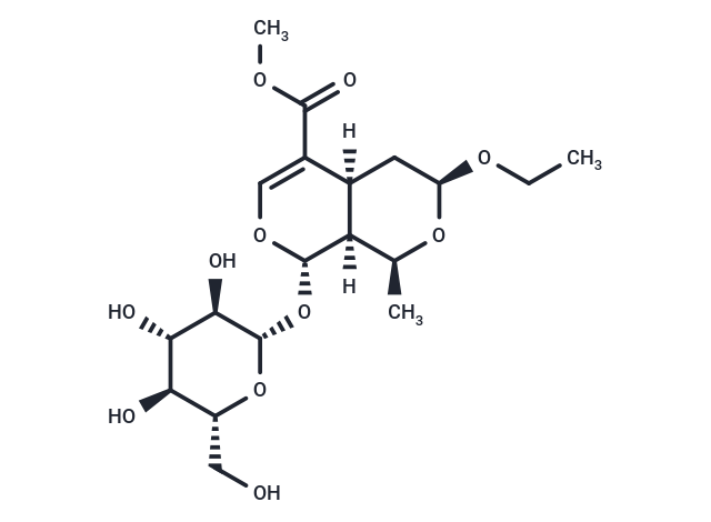 7α-O-Ethylmorroniside