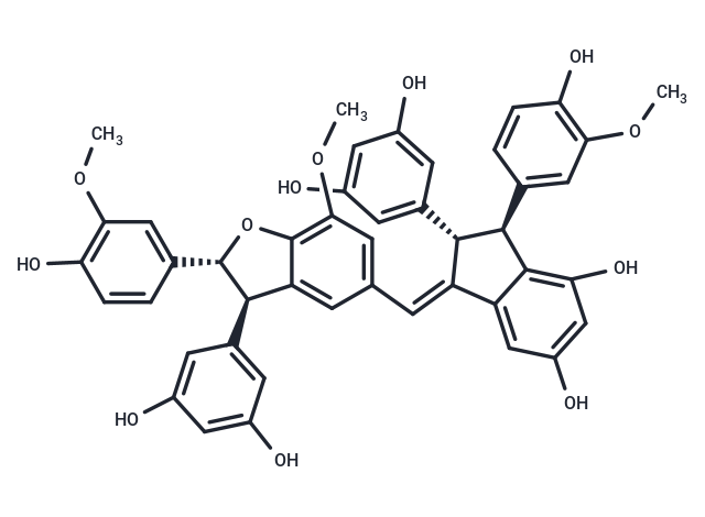 Gnetuhainin O