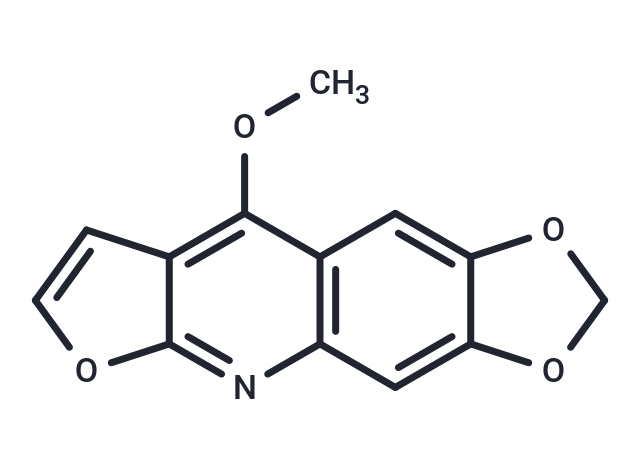 Maculine