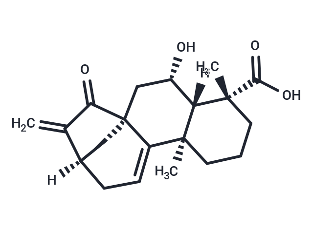 Pterisolic acid B