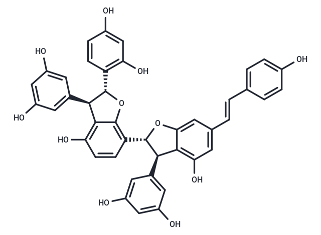 Gnetumontanin B