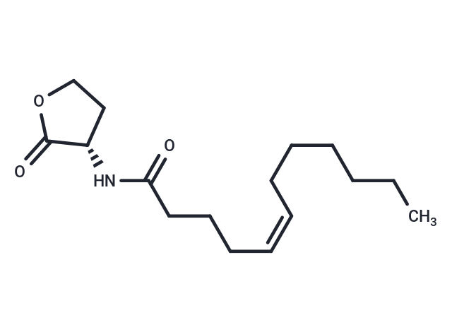 N-cis-dodec-5(Z)-enoyl-L-Homoserine lactone