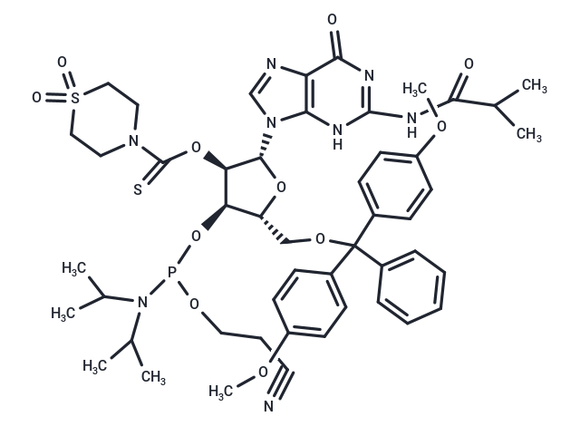 2'-TC-G(iBu) -3'-CE-Phosphoramidite