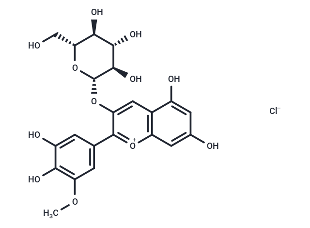 Petunidin-3-O-glucoside chloride (Standard)