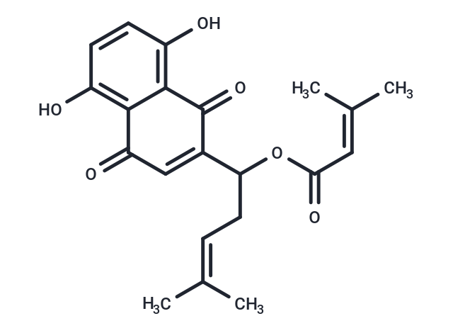 Arnebin 1 (Standard)