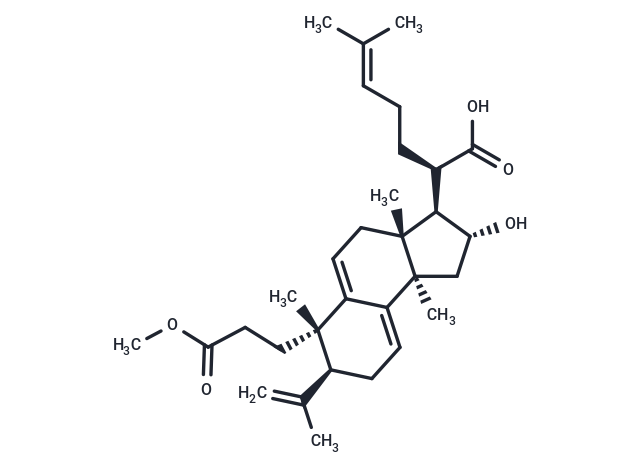 Poricoic acid BM