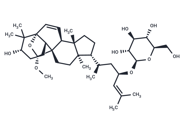 Taikuguasin D