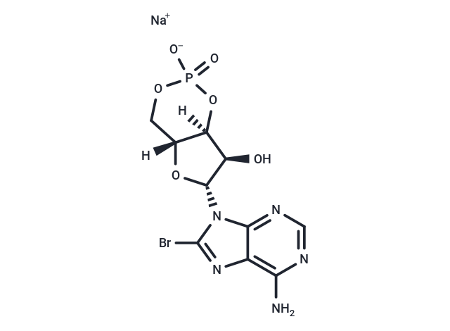 8-Bromo-cAMP sodium salt