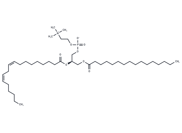1-Palmitoyl-2-Linoleoyl-sn-glycero-3-PC