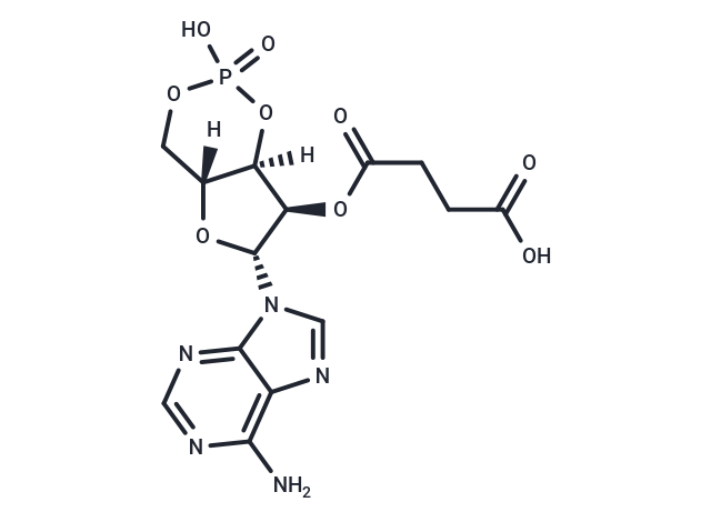 2'-O-Succinyl-cAMP