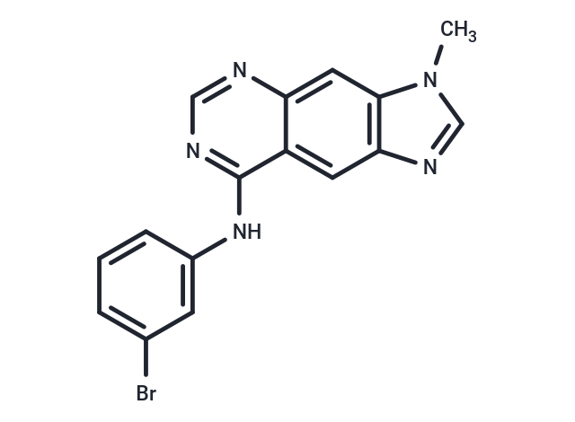 BPIQ-I