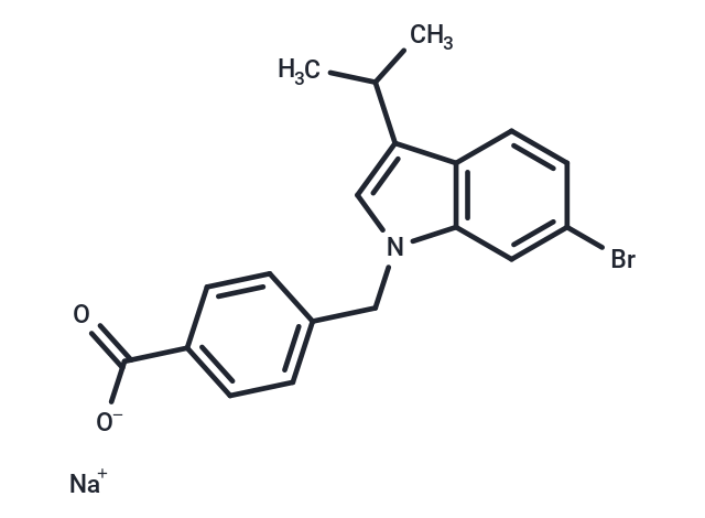 bCSE-IN-1