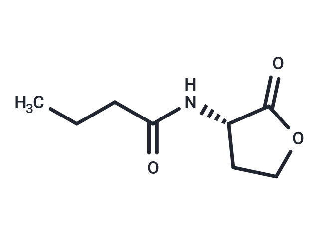 N-Butanoyl-L-homoserine lactone