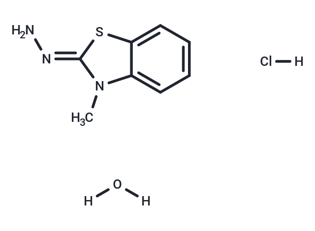 MBTH (Standard)