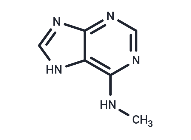 N6-Methyladenine
