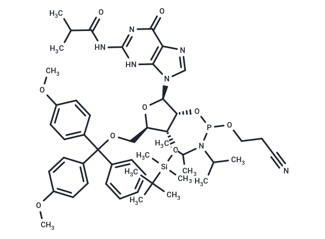 JFN05510