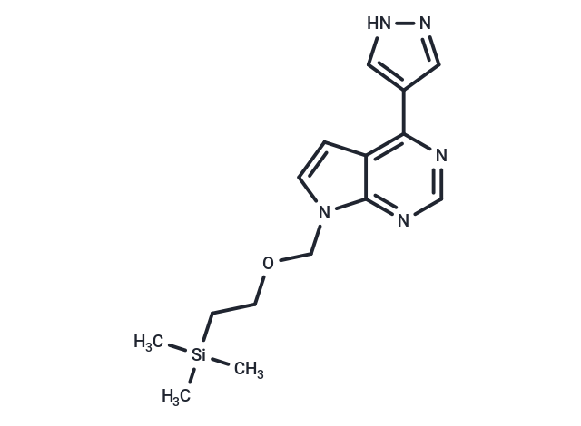 INCB032304