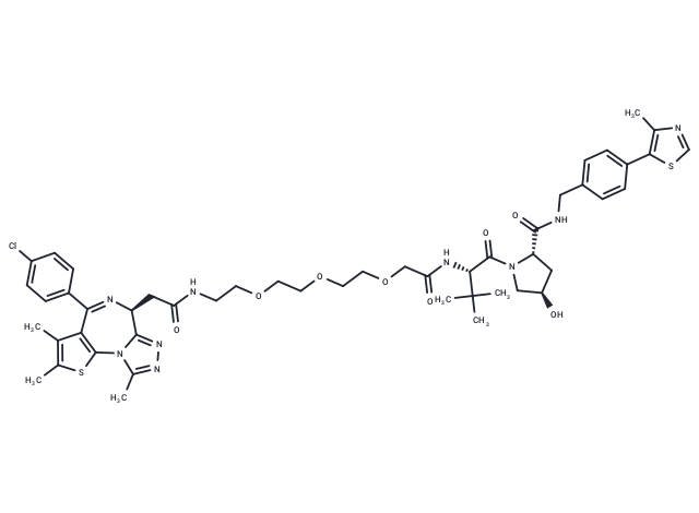 MZ 1