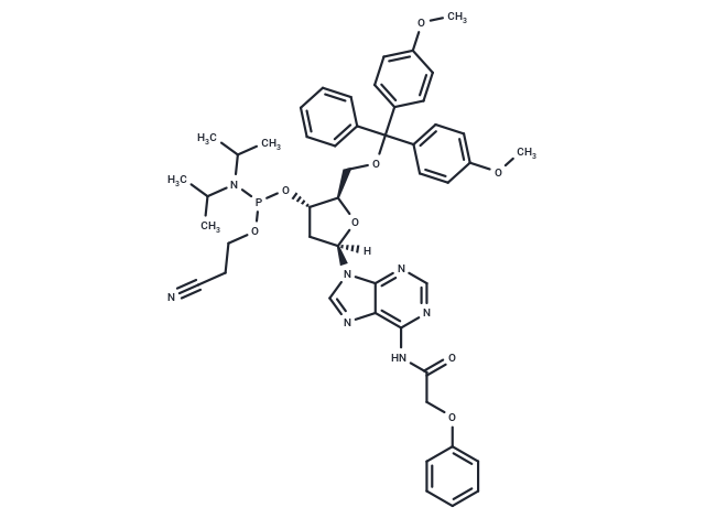 DMT-dA(PAc) Phosphoramidite