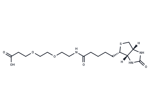 Biotin-PEG2-acid