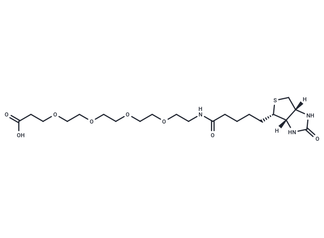 Biotin-PEG4-acid