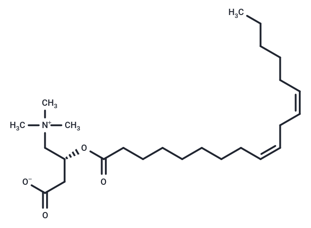 Linoleoylcarnitine