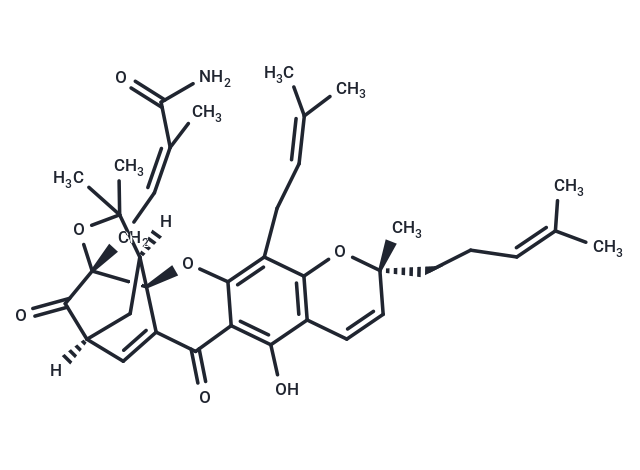 Gambogic amide