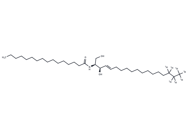 C16 Ceramide-D7 (Standard)
