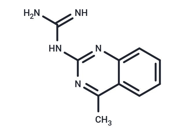 GMQ