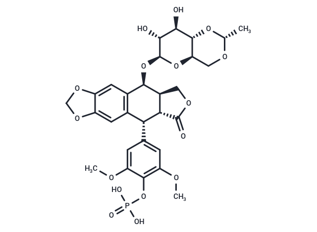 Etoposide Phosphate