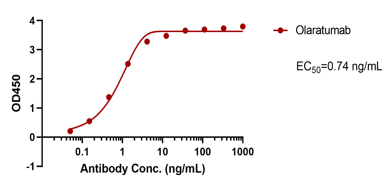 verifiedActivity