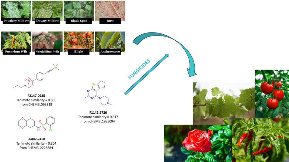  Fungicide Screening Library