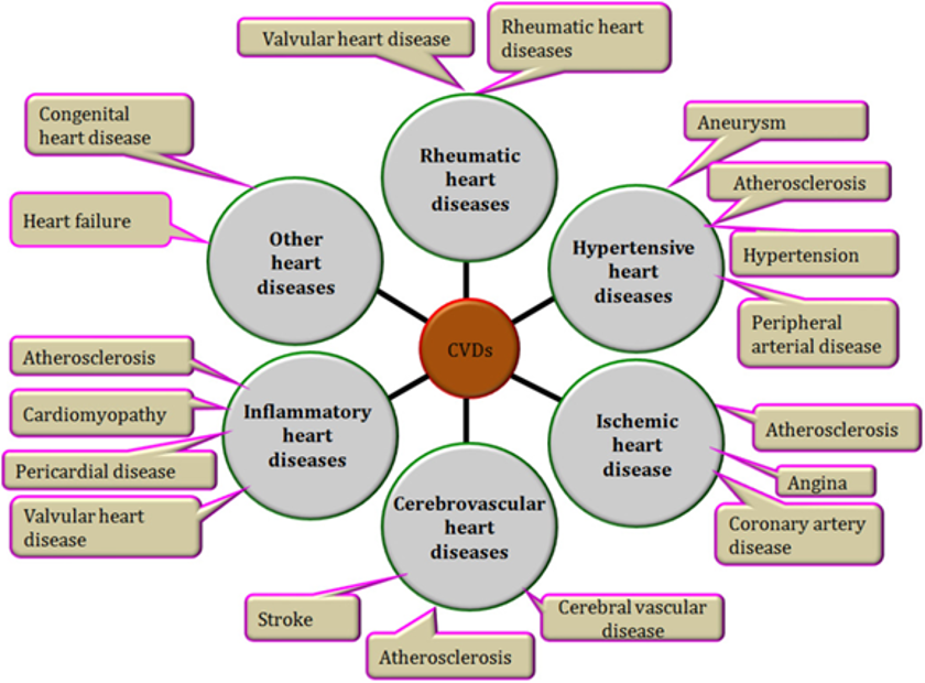  Cardiovascular Focused Library