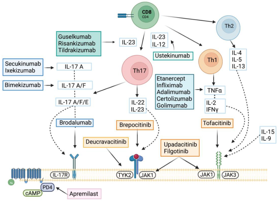  Autoimmune Inflammatory Arthritis and Psoriasis Screening Libraries