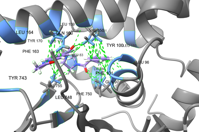  DNA Damage Repair Screening Libraries