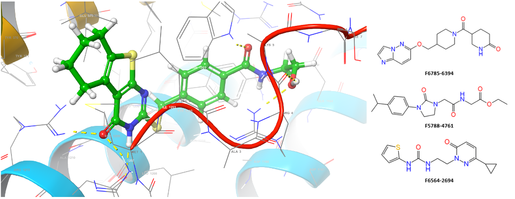  ATP-sensitive Potassium Ion Channel Targeted Library