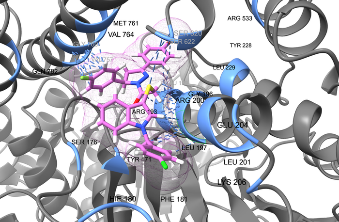  DNA Damage Repair Screening Libraries