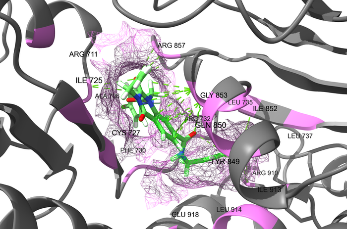  DNA Damage Repair Screening Libraries