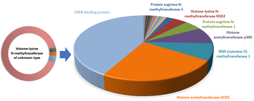  Epigenetic Writer Screening Library