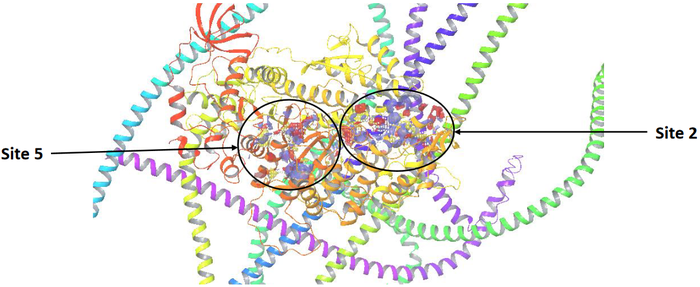  Myosin-focused Screening Library