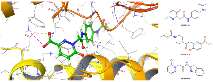  Myosin-focused Screening Library