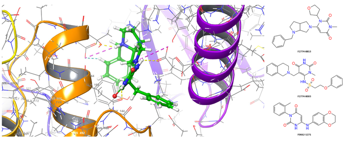  Myosin-focused Screening Library